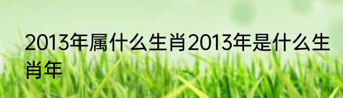 2013年属什么生肖2013年是什么生肖年