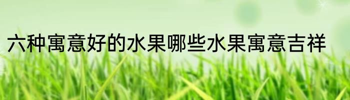 六种寓意好的水果哪些水果寓意吉祥