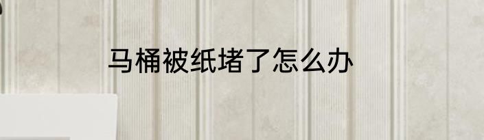 马桶被纸堵了怎么办