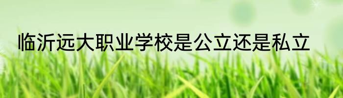 临沂远大职业学校是公立还是私立