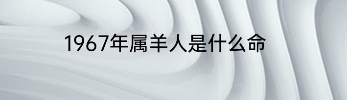 1967年属羊人是什么命