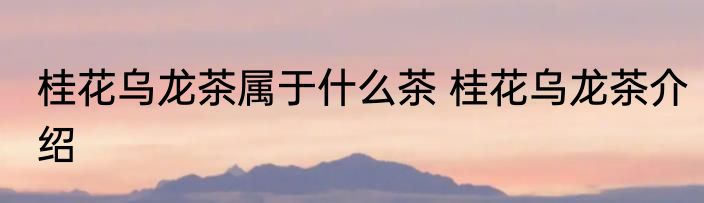 桂花乌龙茶属于什么茶 桂花乌龙茶介绍