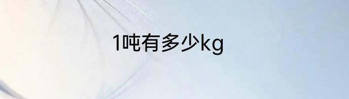 1吨有多少kg
