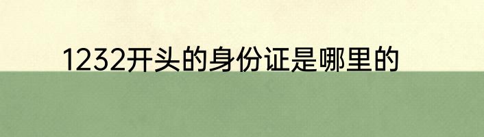1232开头的身份证是哪里的