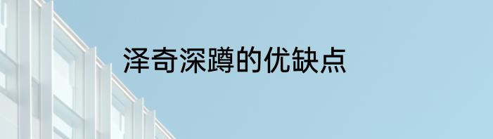 泽奇深蹲的优缺点