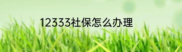 12333社保怎么办理