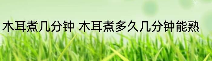 木耳煮几分钟 木耳煮多久几分钟能熟