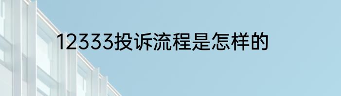 12333投诉流程是怎样的