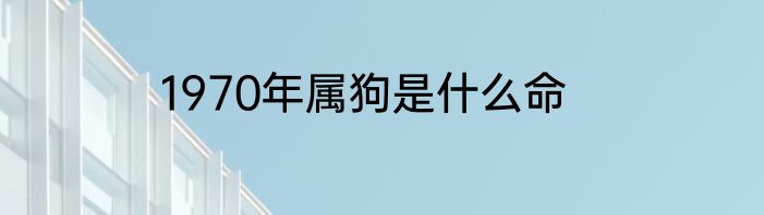 1970年属狗是什么命