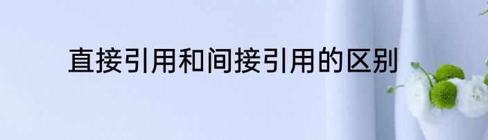 直接引用和间接引用的区别