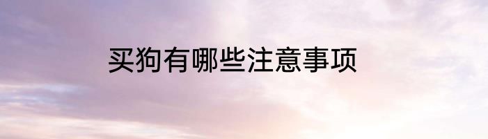 买狗有哪些注意事项