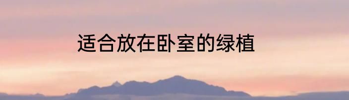 适合放在卧室的绿植