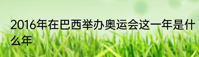 2016年在巴西举办奥运会这一年是什么年