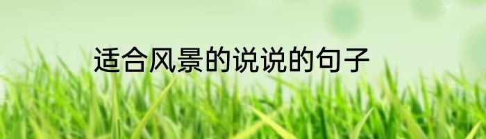 适合风景的说说的句子