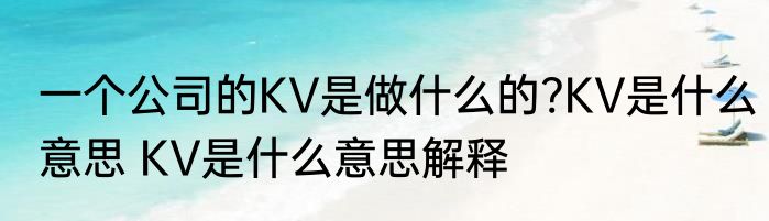 一个公司的KV是做什么的?KV是什么意思 KV是什么意思解释