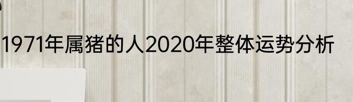 1971年属猪的人2020年整体运势分析