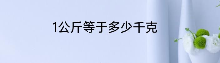 1公斤等于多少千克