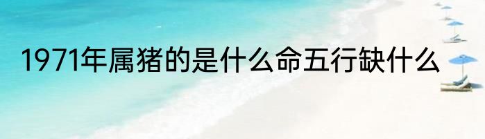 1971年属猪的是什么命五行缺什么