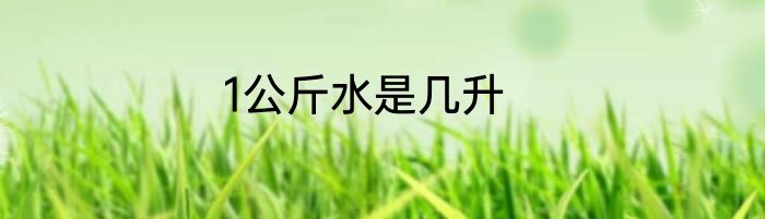 1公斤水是几升