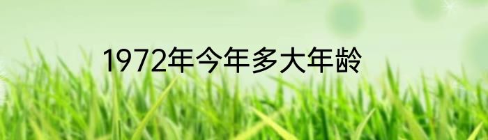 1972年今年多大年龄