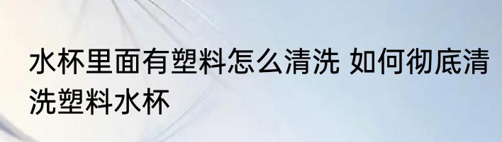 水杯里面有塑料怎么清洗 如何彻底清洗塑料水杯