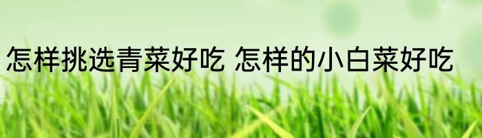 怎样挑选青菜好吃 怎样的小白菜好吃