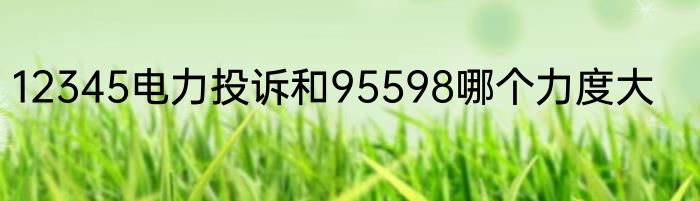 12345电力投诉和95598哪个力度大