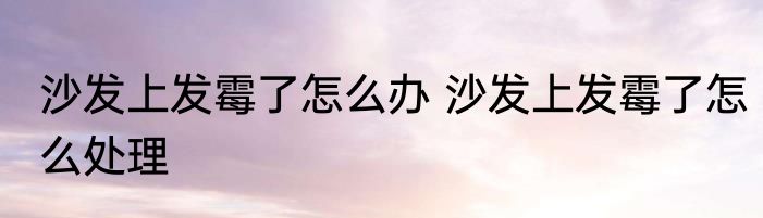 沙发上发霉了怎么办 沙发上发霉了怎么处理