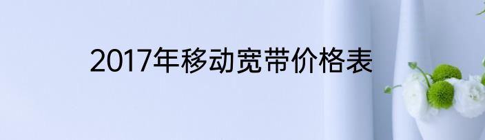2017年移动宽带价格表