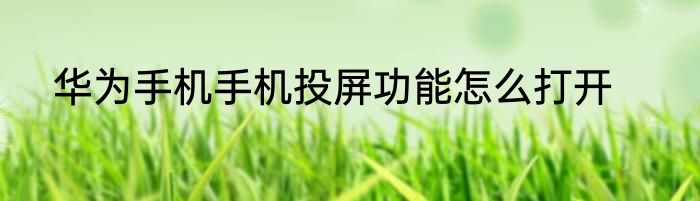 华为手机手机投屏功能怎么打开