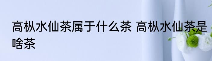 高枞水仙茶属于什么茶 高枞水仙茶是啥茶
