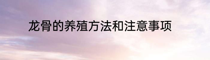 龙骨的养殖方法和注意事项