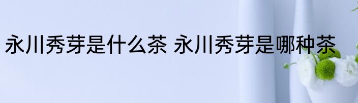 永川秀芽是什么茶 永川秀芽是哪种茶