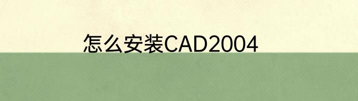 怎么安装CAD2004