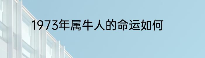1973年属牛人的命运如何