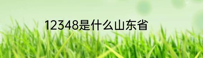 12348是什么山东省