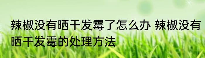 辣椒没有晒干发霉了怎么办 辣椒没有晒干发霉的处理方法