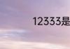 12333是哪个单位号码