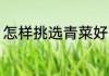 怎样挑选青菜好吃 怎样的小白菜好吃