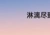 淋漓尽致是什么意思