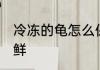 冷冻的龟怎么保鲜 乌龟怎么保存放保鲜