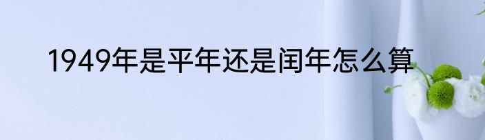 1949年是平年还是闰年怎么算