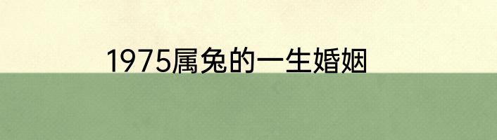 1975属兔的一生婚姻