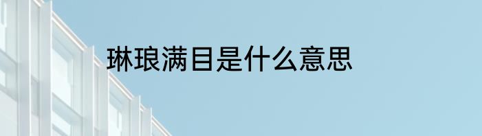 琳琅满目是什么意思