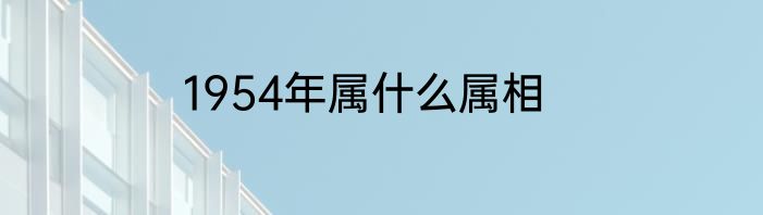 1954年属什么属相