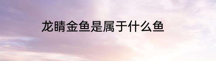 龙睛金鱼是属于什么鱼