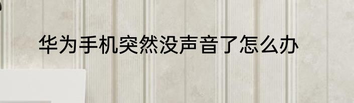 华为手机突然没声音了怎么办