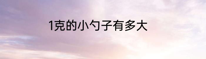1克的小勺子有多大