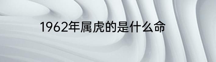 1962年属虎的是什么命