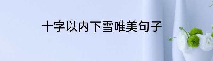 十字以内下雪唯美句子